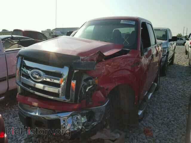 2011 FORD F150 - VIN: 1FTFW1EF9BKD57177 - Фото 2