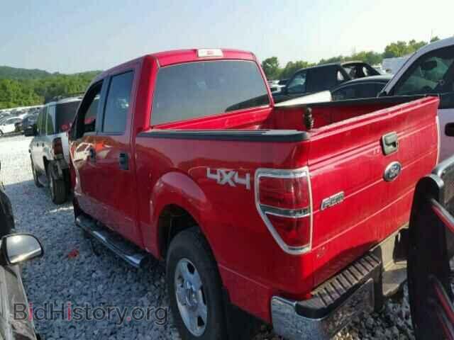 2011 FORD F150 - VIN: 1FTFW1EF9BKD57177 - Фото 3