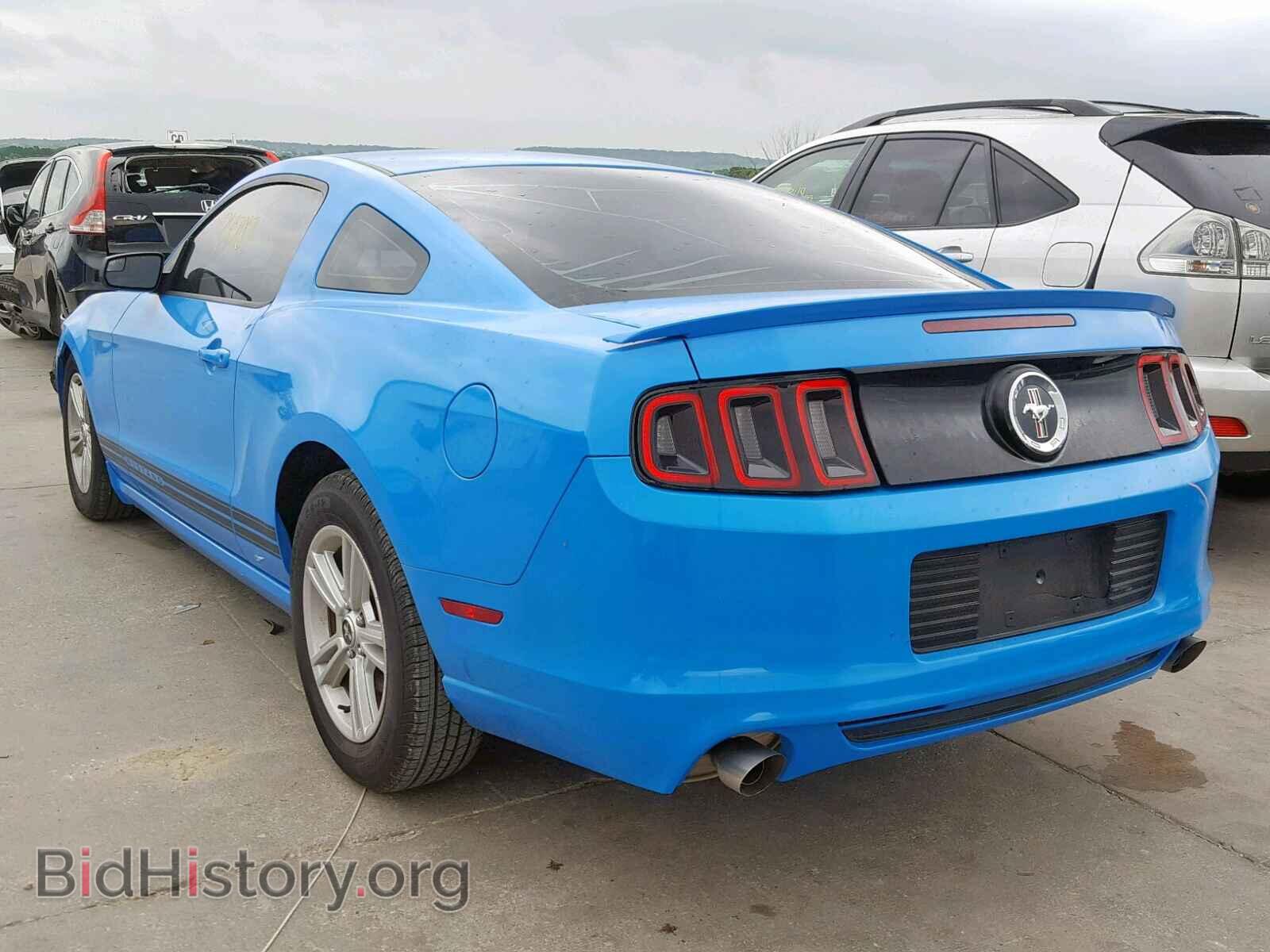 2013 FORD MUSTANG - VIN: 1ZVBP8AM8D5254663 - Фото 3