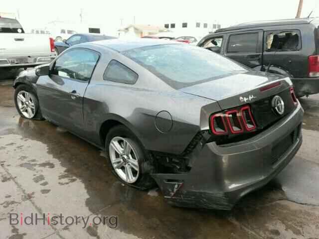 2014 FORD MUSTANG - VIN: 1ZVBP8AM3E5240137 - Фото 3