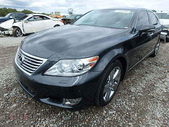 2011 LEXUS LS460 - VIN: JTHBL5EF2B5106044 - Фото 2