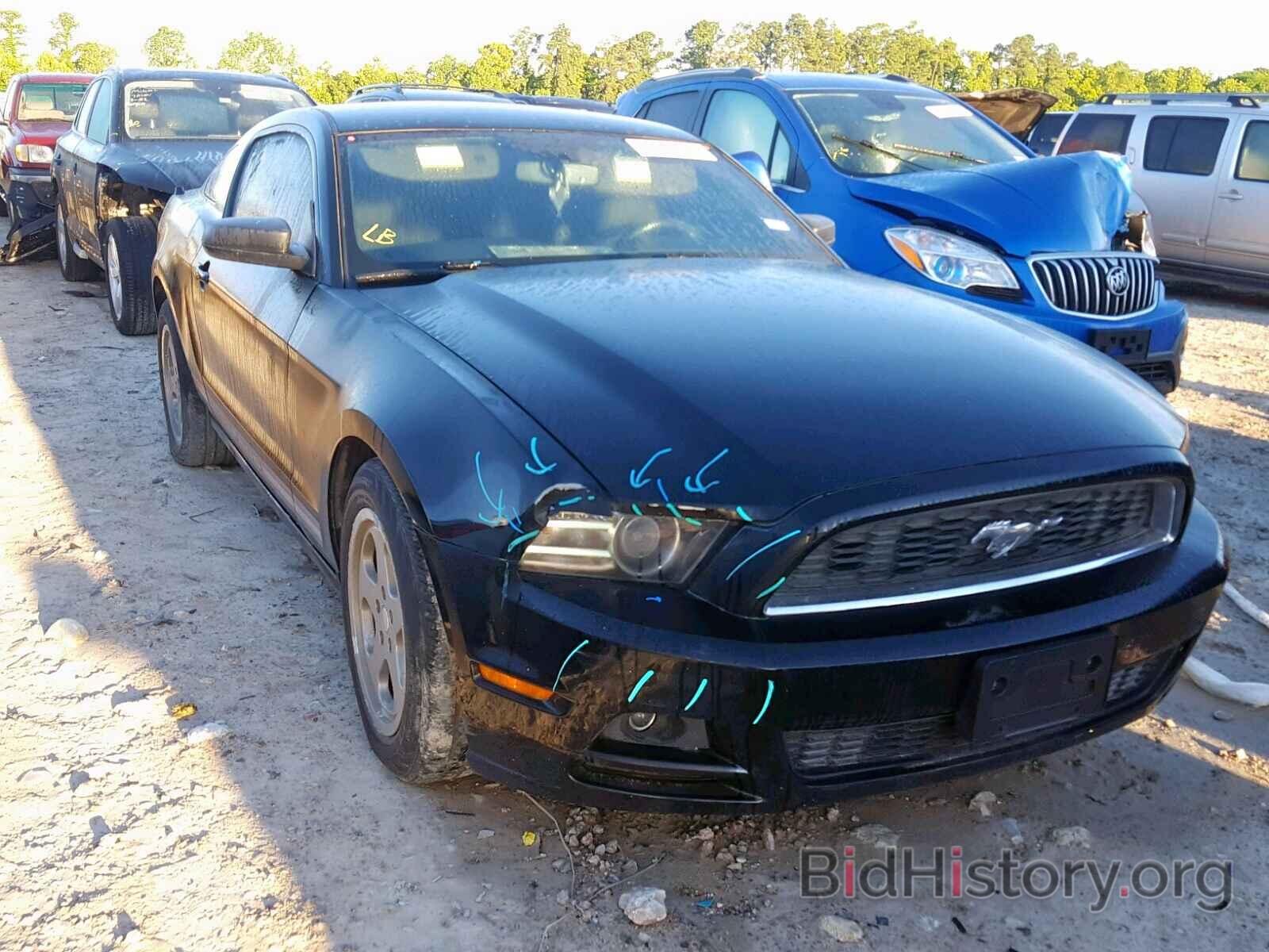 Photo 1ZVBP8AM3E5328976 - FORD MUSTANG 2014