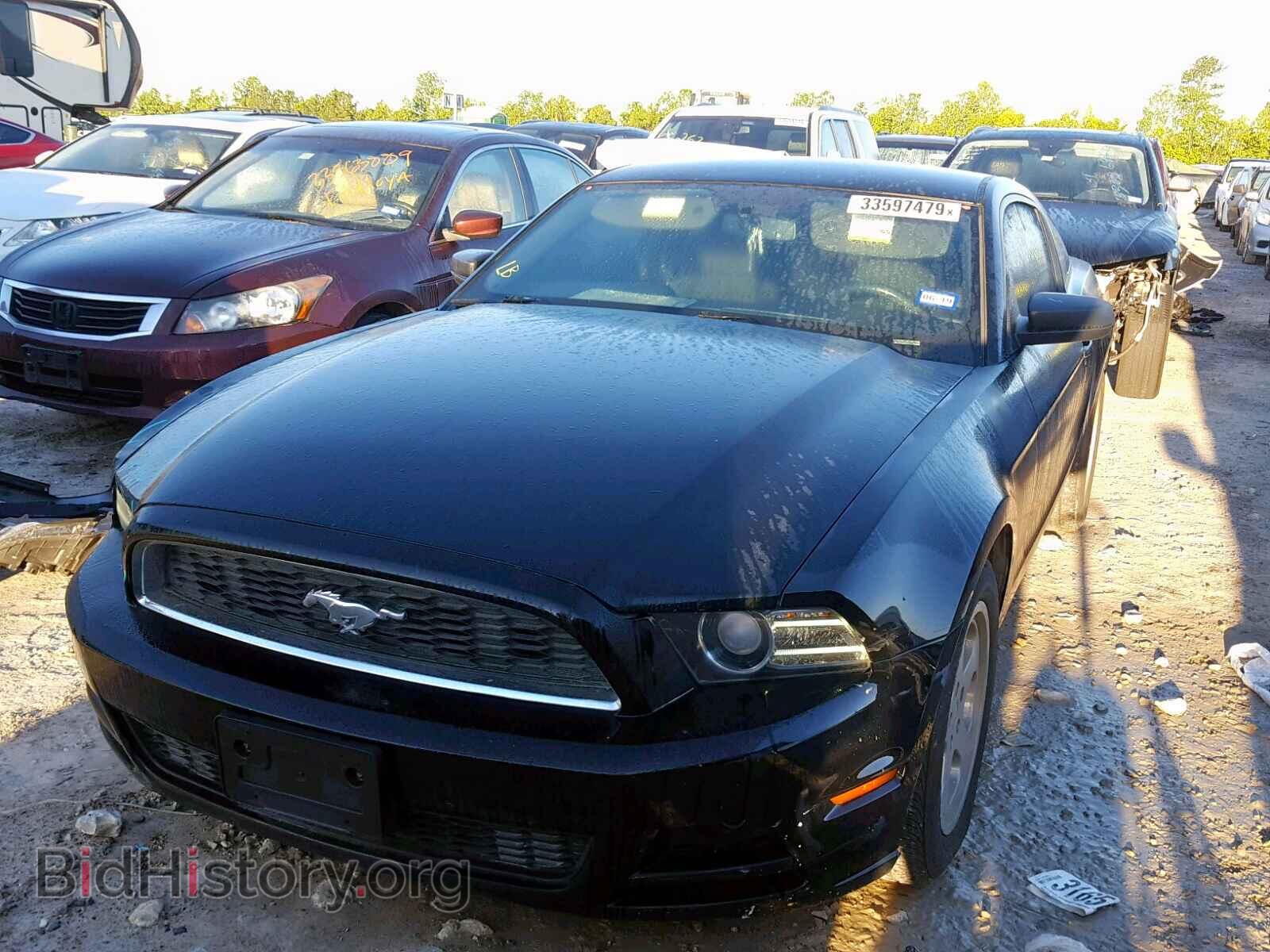 2014 FORD MUSTANG - VIN: 1ZVBP8AM3E5328976 - Фото 2
