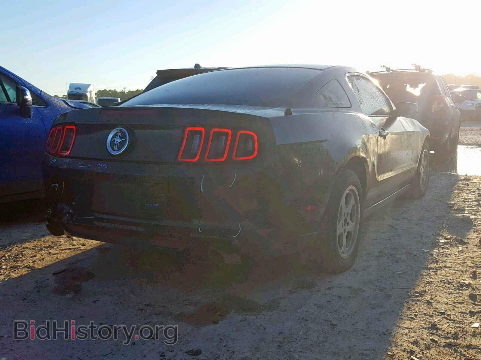 2014 FORD MUSTANG - VIN: 1ZVBP8AM3E5328976 - Фото 4