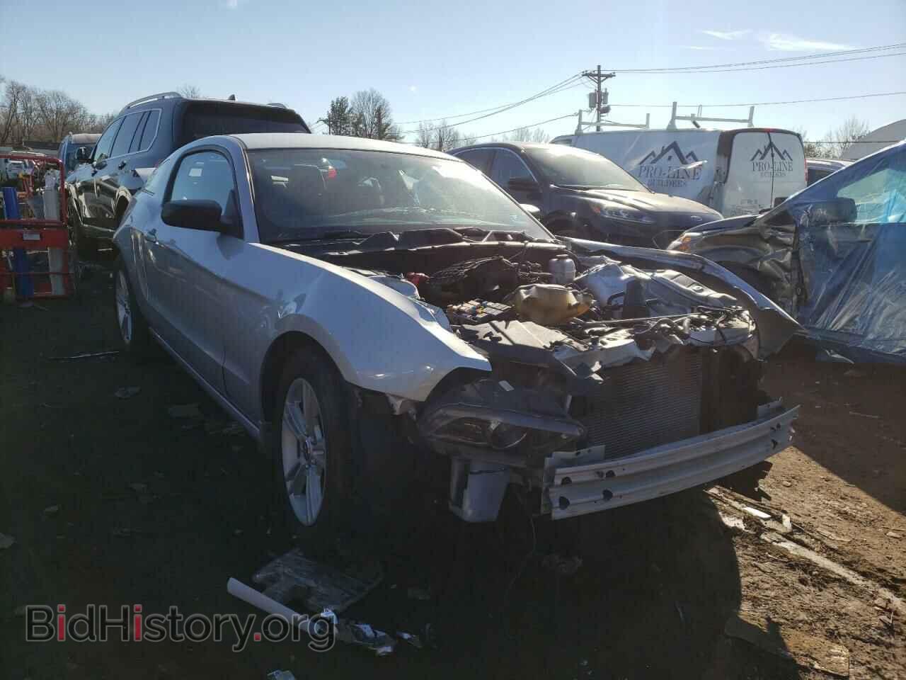 Фотография 1ZVBP8AM5D5241692 - FORD MUSTANG 2013