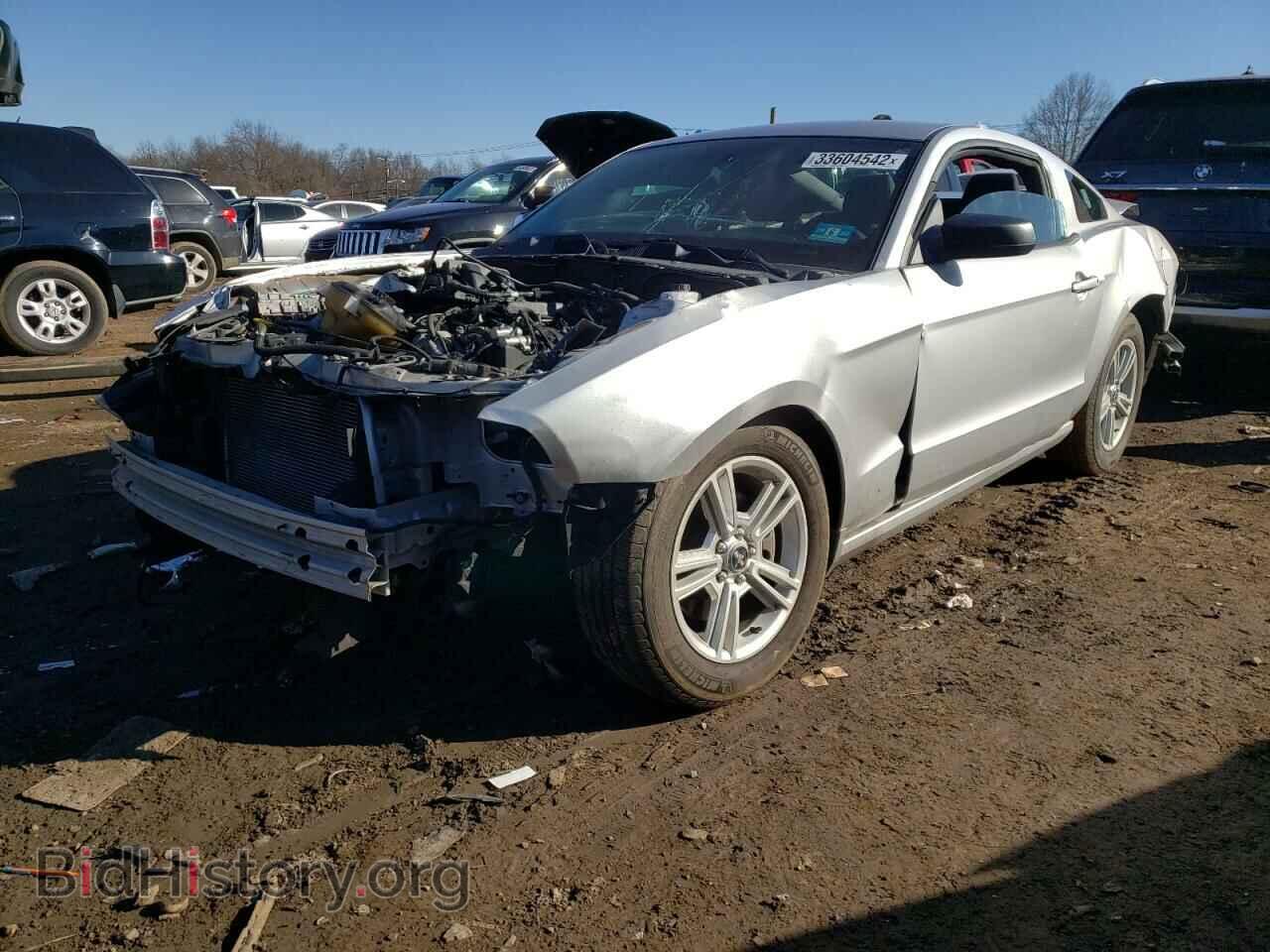 2013 FORD MUSTANG - VIN: 1ZVBP8AM5D5241692 - Фото 2
