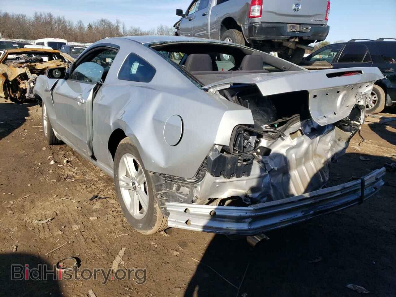 2013 FORD MUSTANG - VIN: 1ZVBP8AM5D5241692 - Фото 3