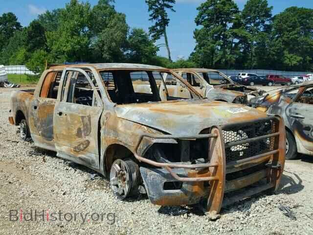 Photo 3C6UD5PL6CG225002 - DODGE RAM 2012