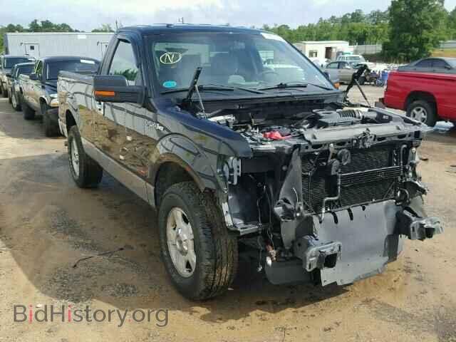 Фотография 1FTMF1CM0DFC53861 - FORD F150 2013