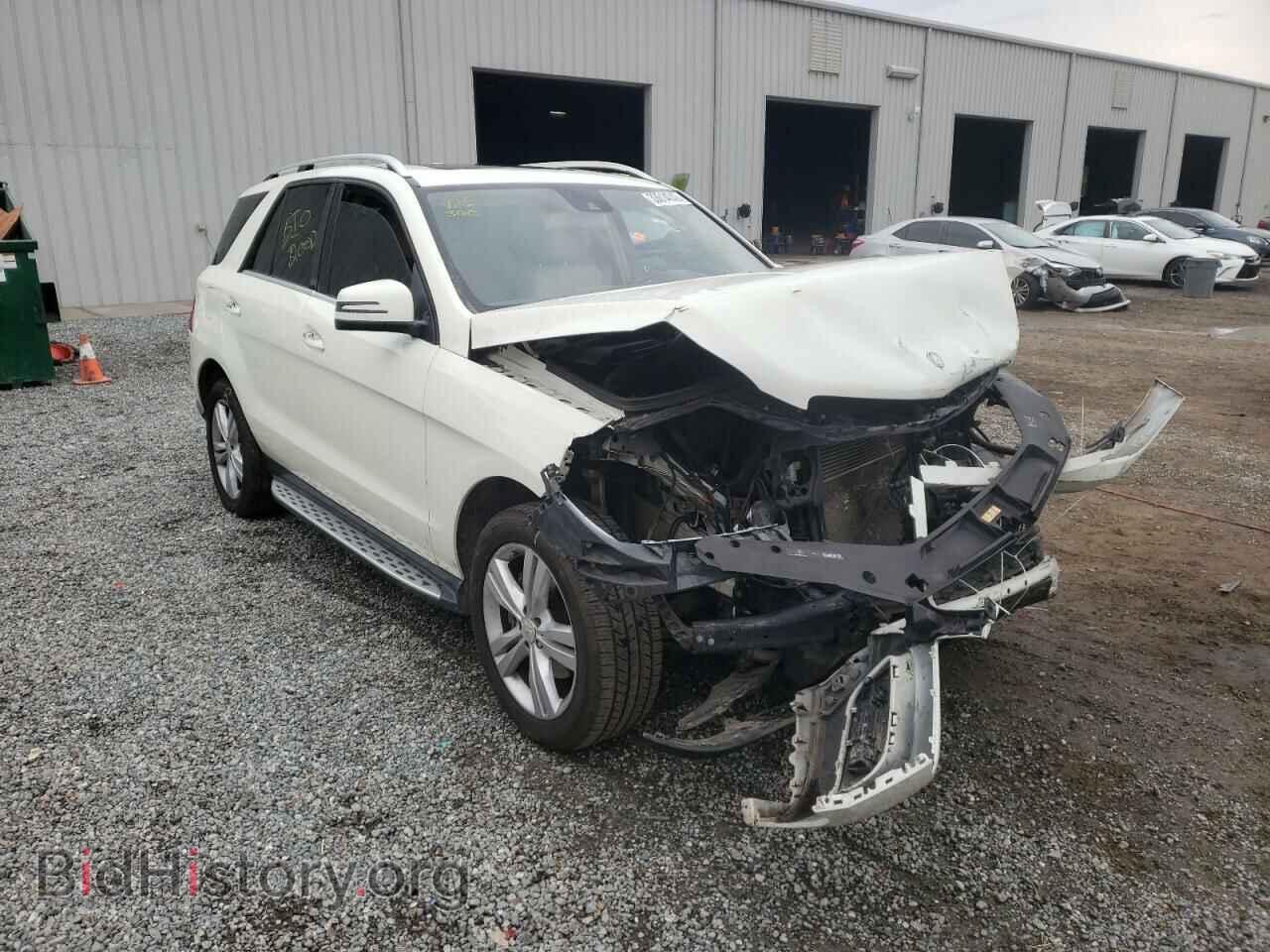 Photo 4JGDA5JB4DA145324 - MERCEDES-BENZ M-CLASS 2013