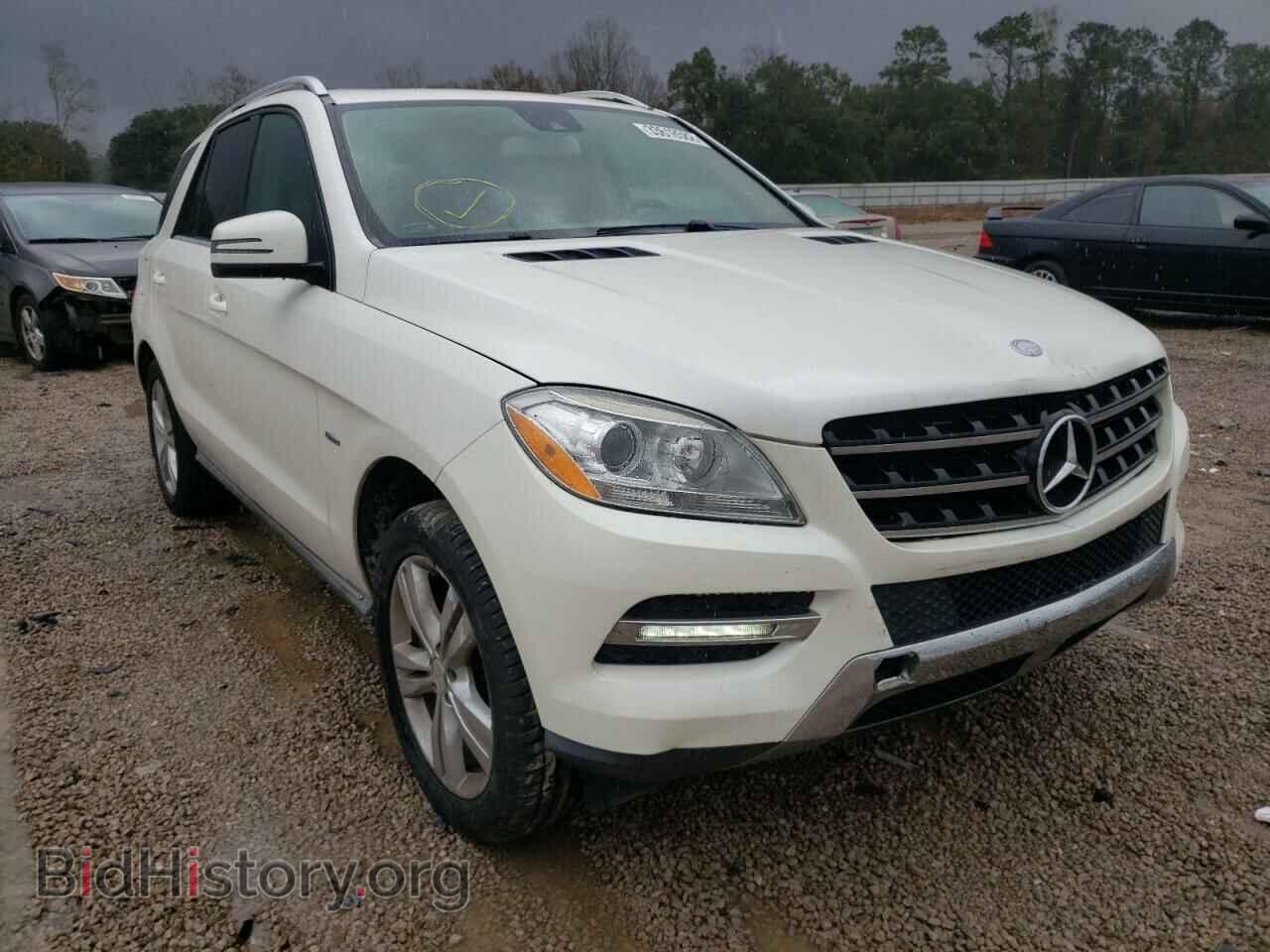 Photo 4JGDA5HB7CA030155 - MERCEDES-BENZ M-CLASS 2012