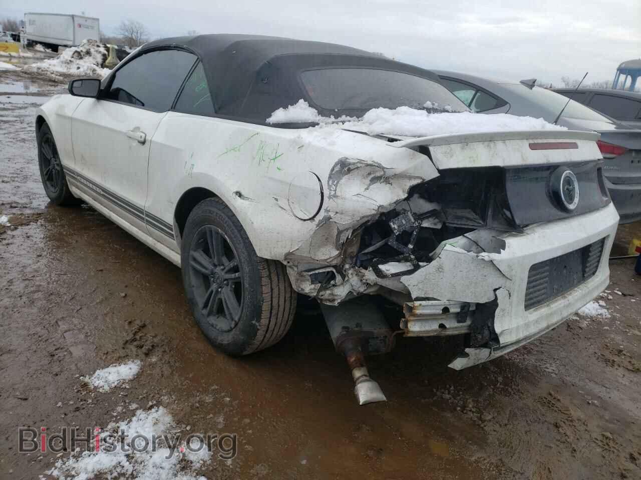 2013 FORD MUSTANG - VIN: 1ZVBP8EM3D5209978 - Фото 3
