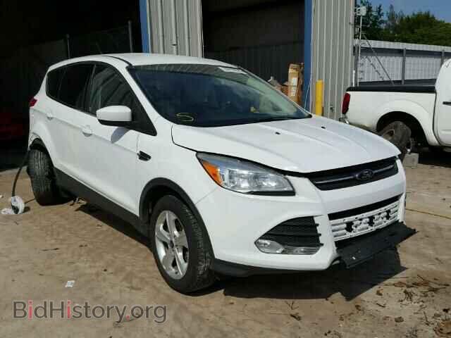 Photo 1FMCU0GX9DUB28557 - FORD ESCAPE 2013