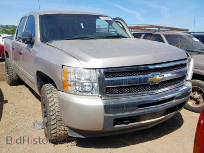 2009 Chevrolet SILVERADO, светло-коричневый — VIN 3GCEC23C39G107521, Copart
