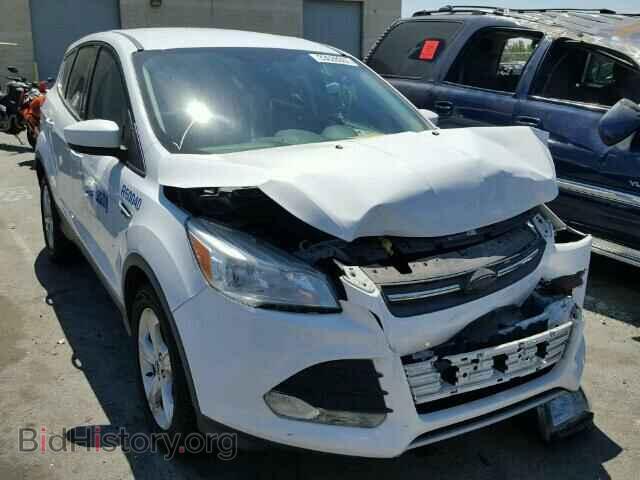 Фотография 1FMCU0GX0DUA94993 - FORD ESCAPE 2013