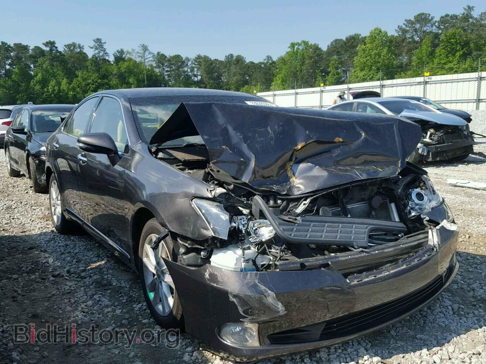 Фотография JTHBK1EG8B2467672 - LEXUS ES350 2011