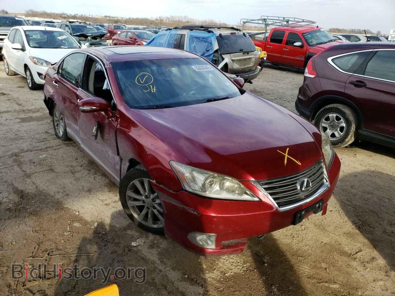 Фотография JTHBK1EG8A2370051 - LEXUS ES350 2010