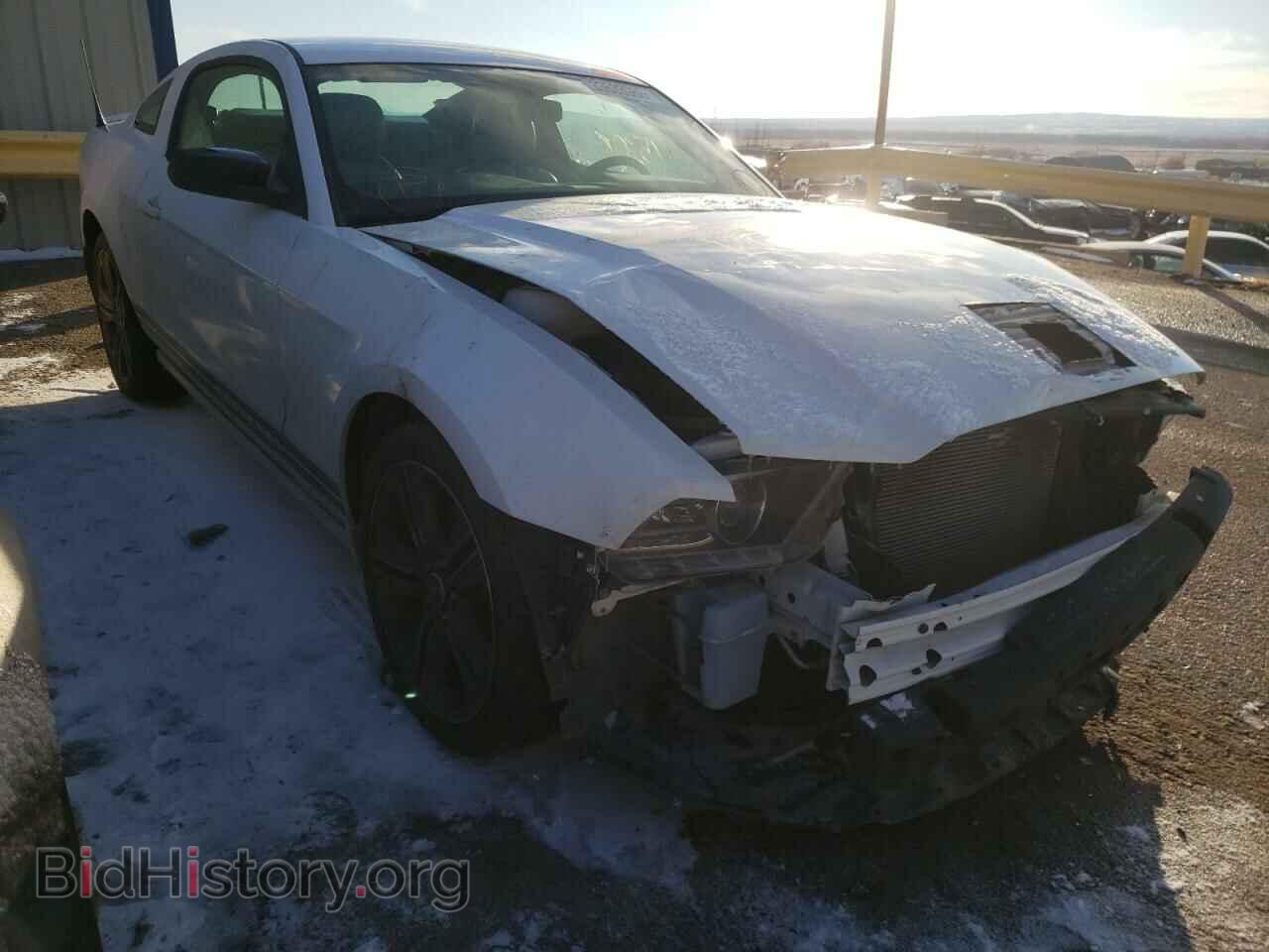 Фотография 1ZVBP8AM0E5268686 - FORD MUSTANG 2014