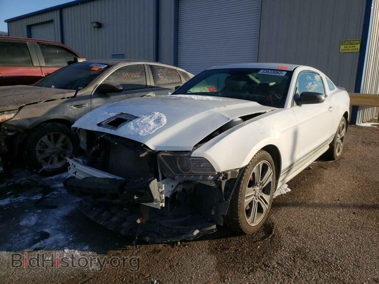 2014 FORD MUSTANG - VIN: 1ZVBP8AM0E5268686 - Фото 2