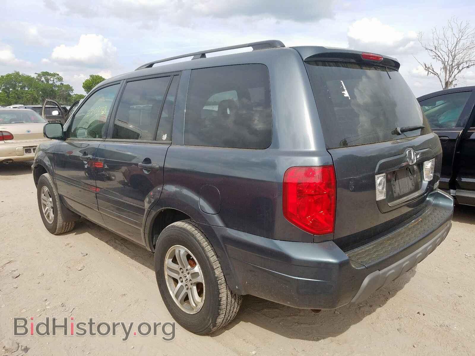 2005 HONDA PILOT - VIN: 5FNYF185X5B044362 - Фото 3