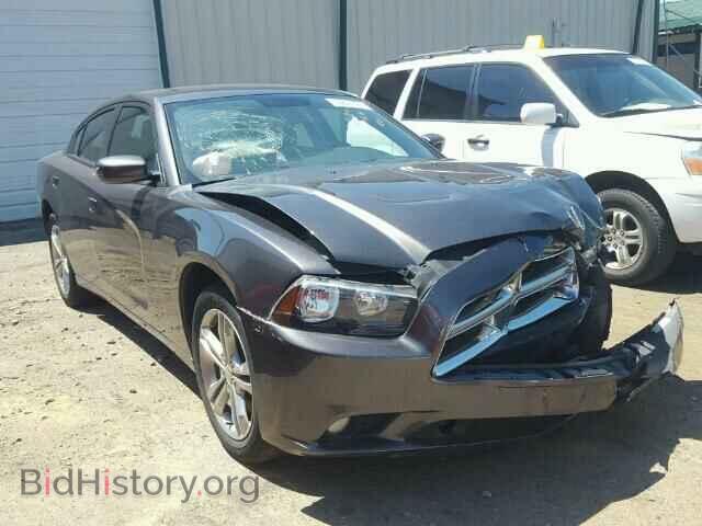 Photo 2C3CDXJG5DH591101 - DODGE CHARGER 2013