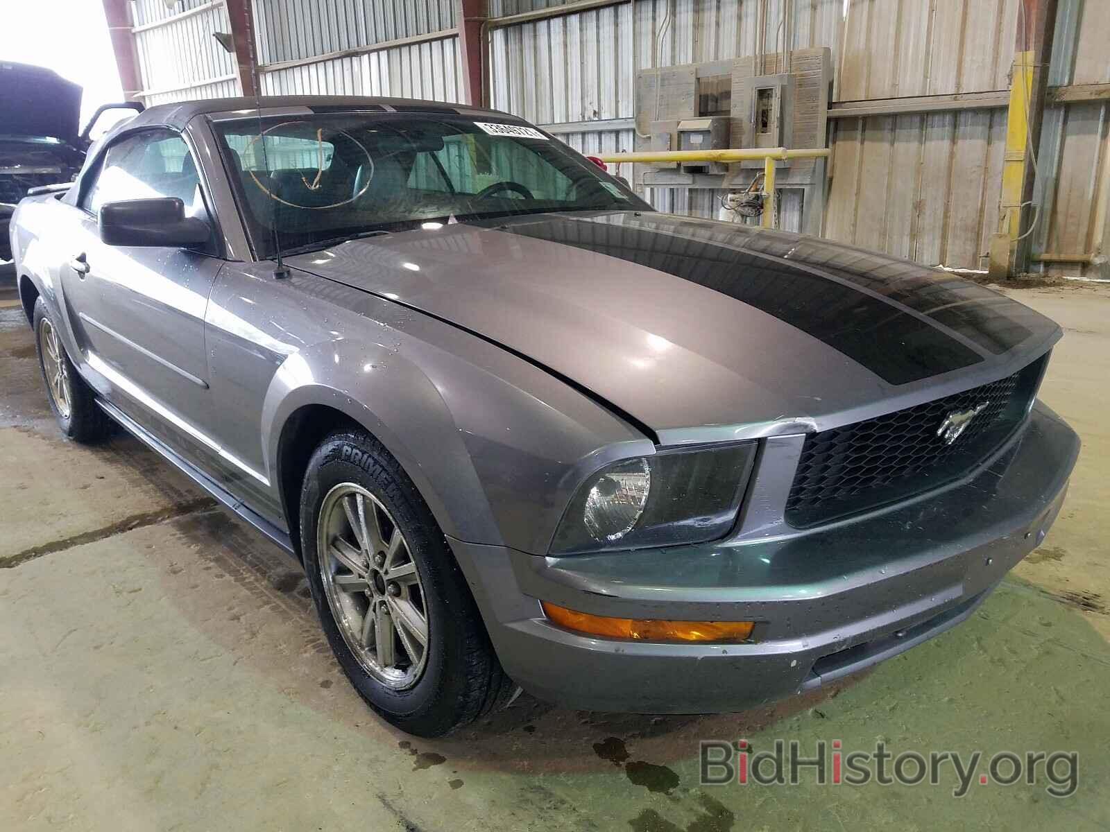 Photo 1ZVFT84N575336758 - FORD MUSTANG 2007
