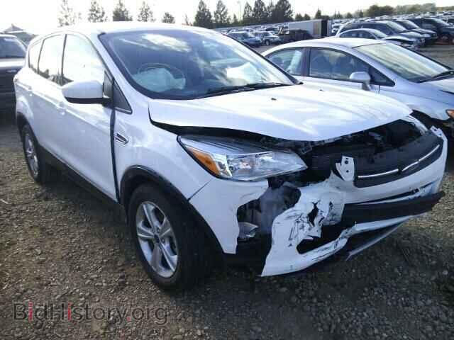 Photo 1FMCU0GX3EUE52315 - FORD ESCAPE 2014