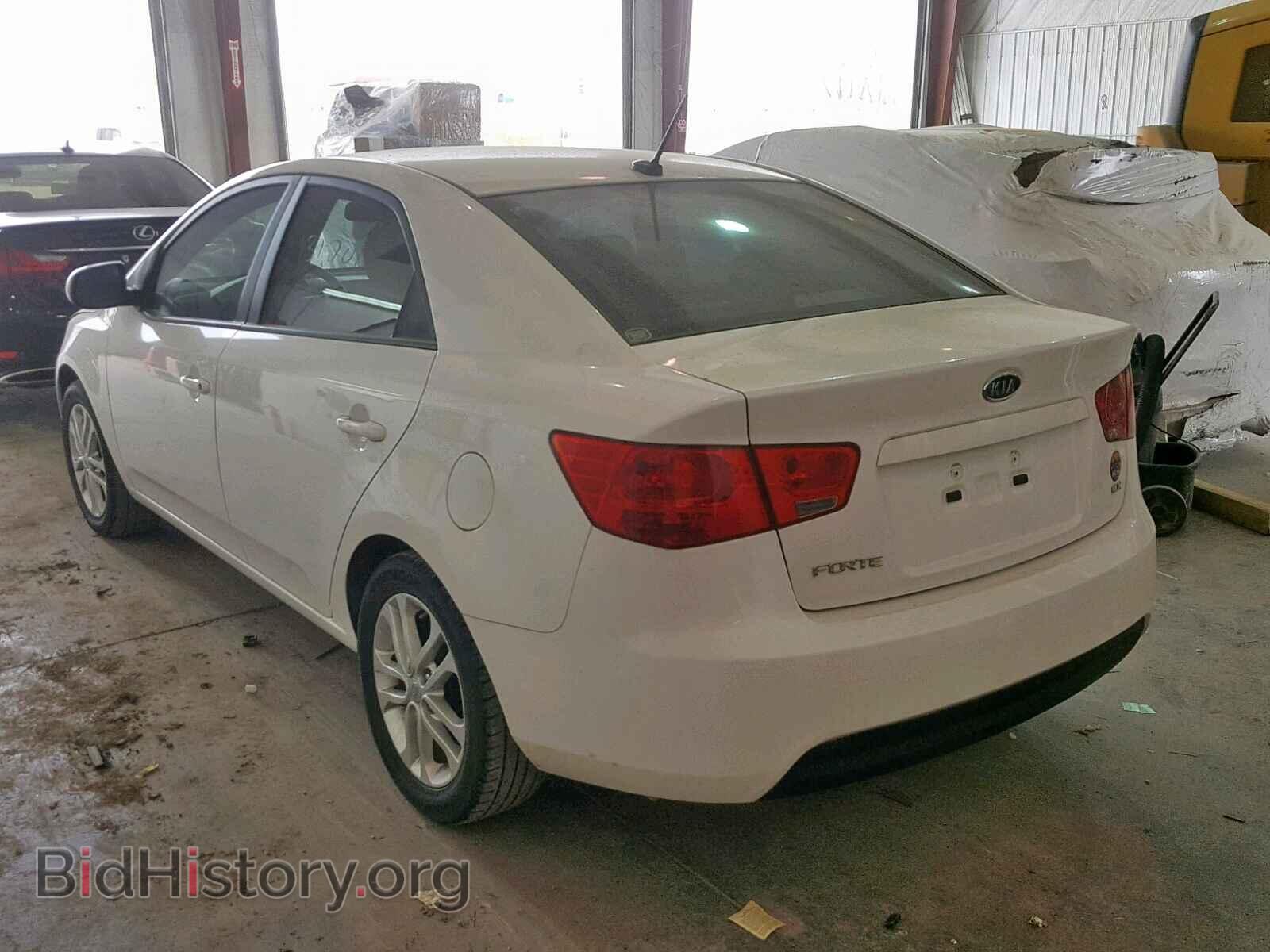 2012 KIA FORTE - VIN: KNAFU4A28C5558883 - Фото 3