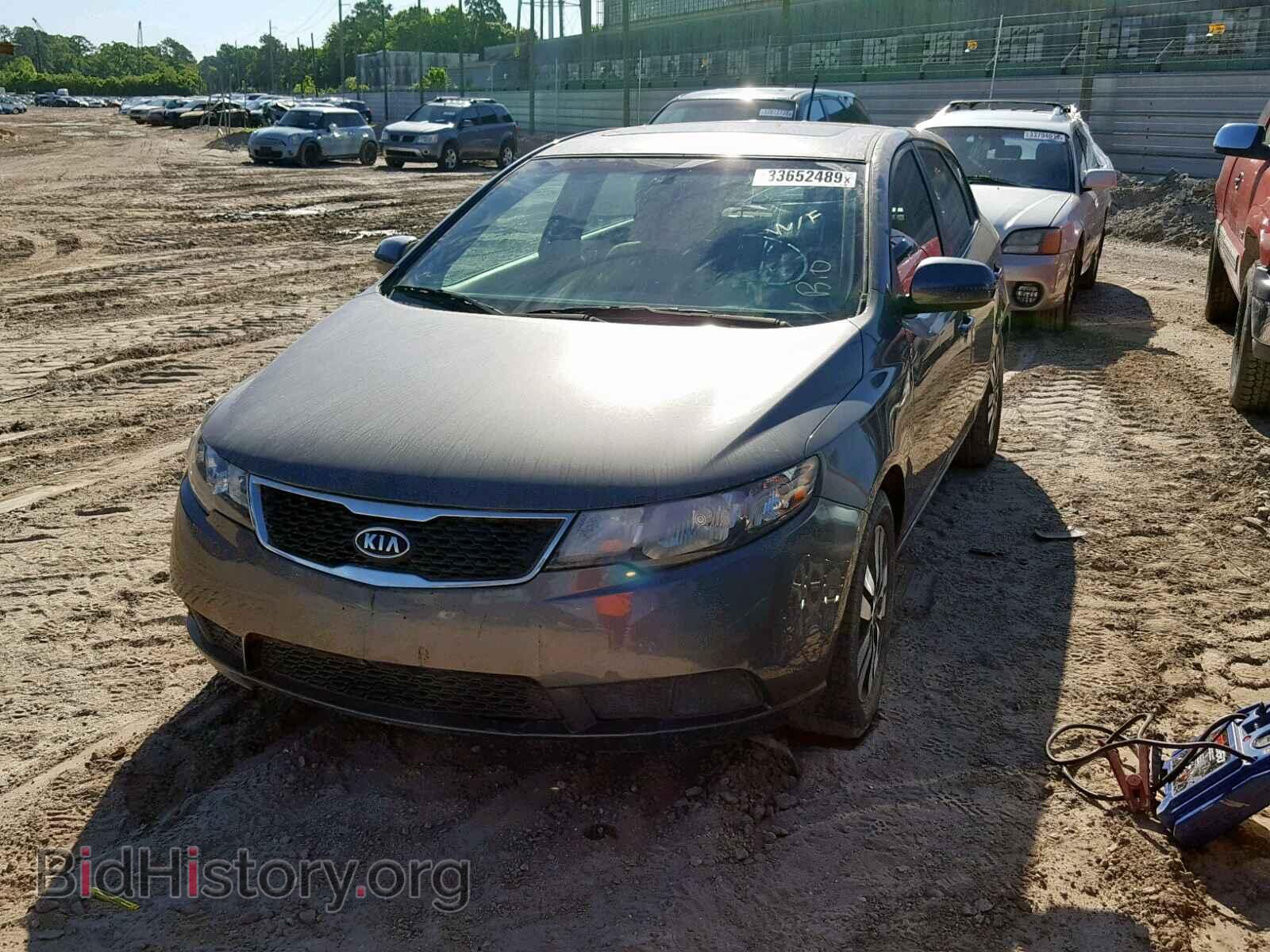 2013 KIA FORTE EX - VIN: KNAFU5A25D5687025 - Фото 2