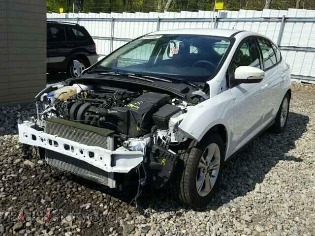 2013 FORD FOCUS - VIN: 1FADP3K28DL215634 - Photo 2