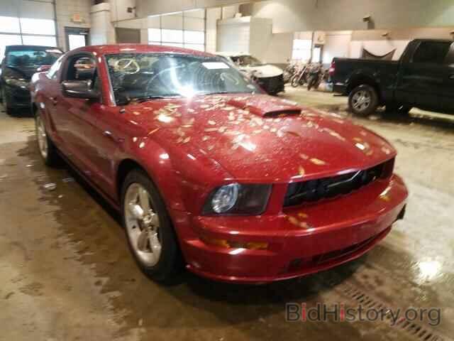 Photo 1ZVHT82H585104765 - FORD MUSTANG 2008