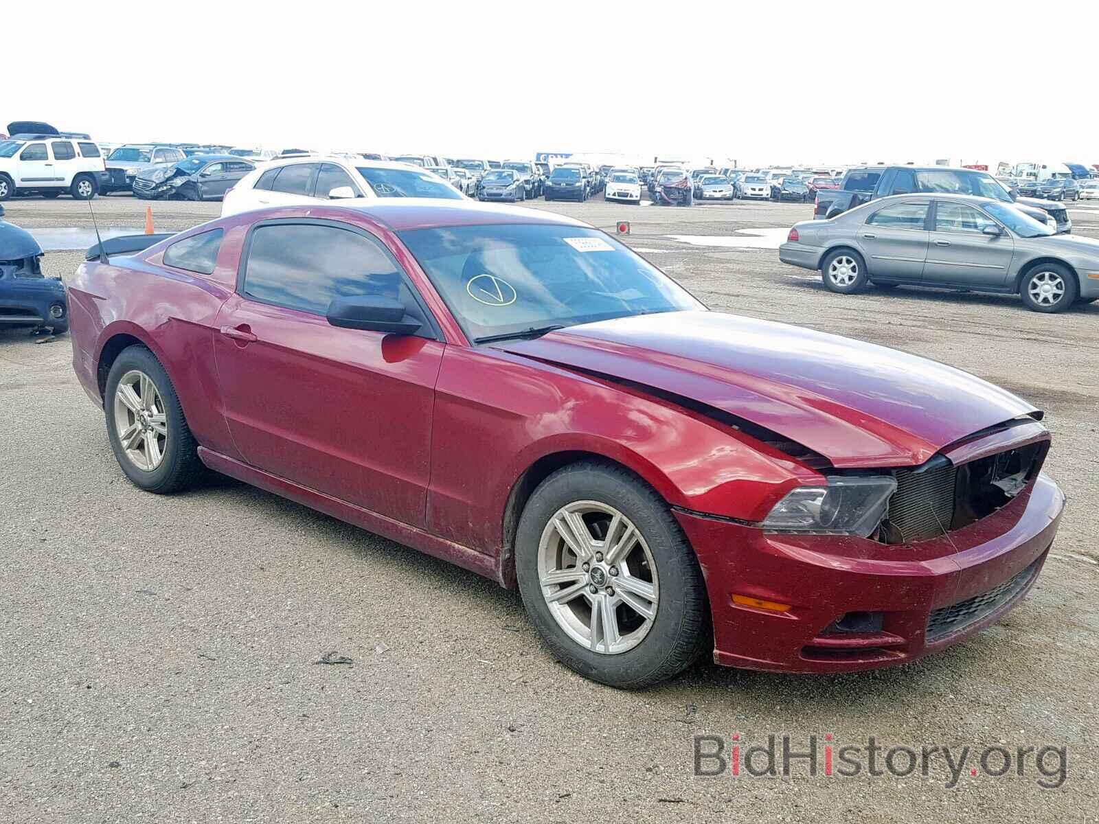Photo 1ZVBP8AM4E5320983 - FORD MUSTANG 2014