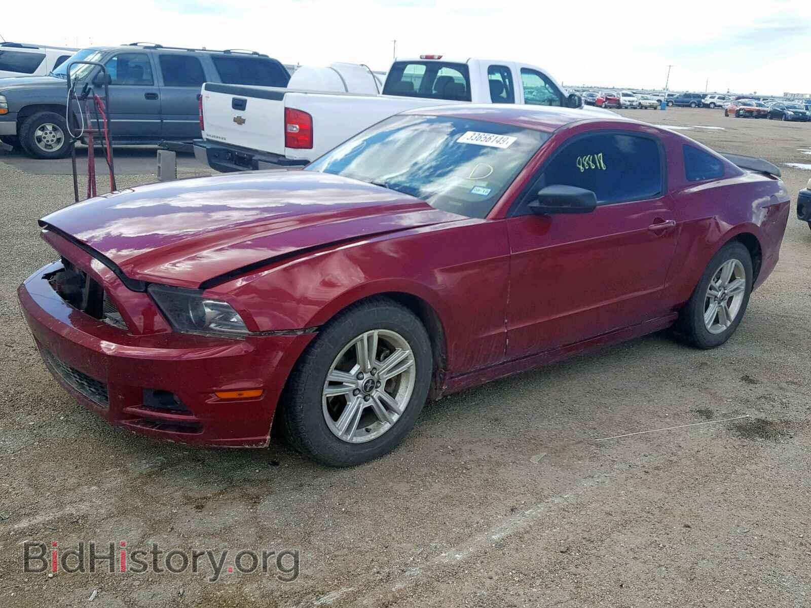 2014 FORD MUSTANG - VIN: 1ZVBP8AM4E5320983 - Фото 2
