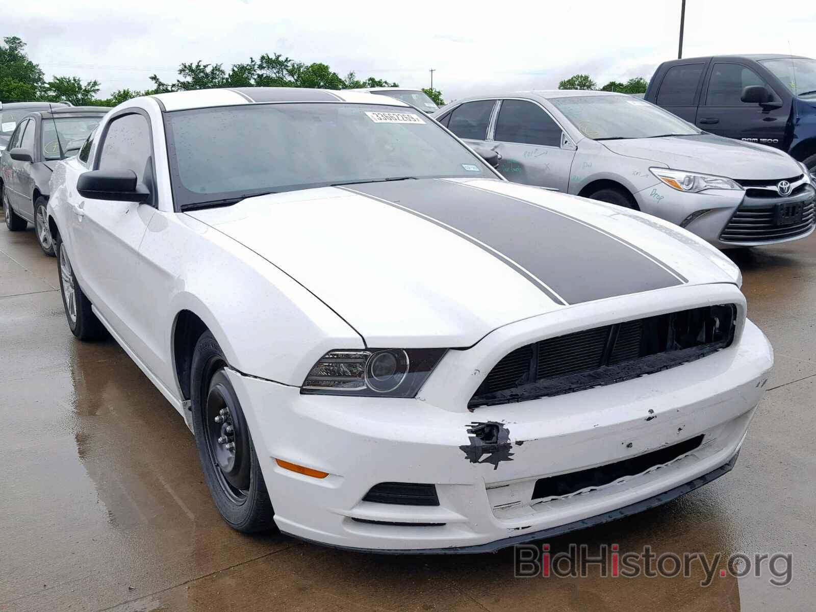 Photo 1ZVBP8AM2E5320156 - FORD MUSTANG 2014