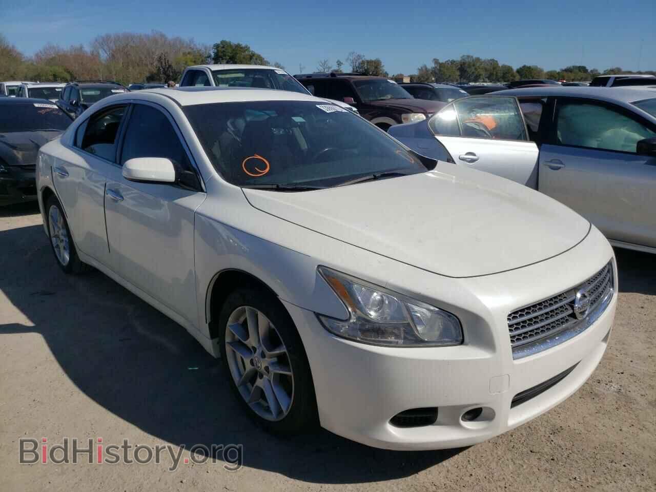 Фотография 1N4AA5AP2BC819710 - NISSAN MAXIMA 2011