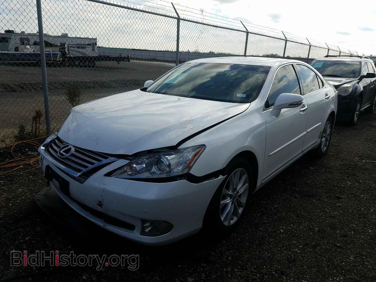 2010 LEXUS ES350 - VIN: JTHBK1EG3A2411251 - Фото 2