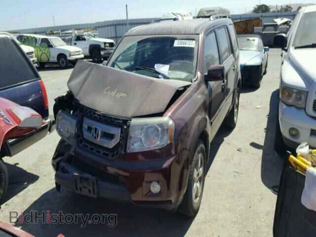 2011 HONDA PILOT - VIN: 5FNYF4H41BB064374 - Фото 2