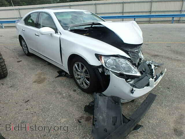 Фотография JTHBL46F995091433 - LEXUS LS460 2009