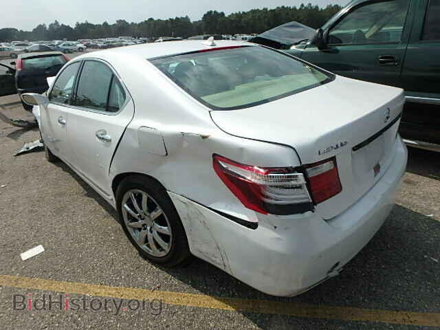2009 LEXUS LS460 - VIN: JTHBL46F995091433 - Фото 3