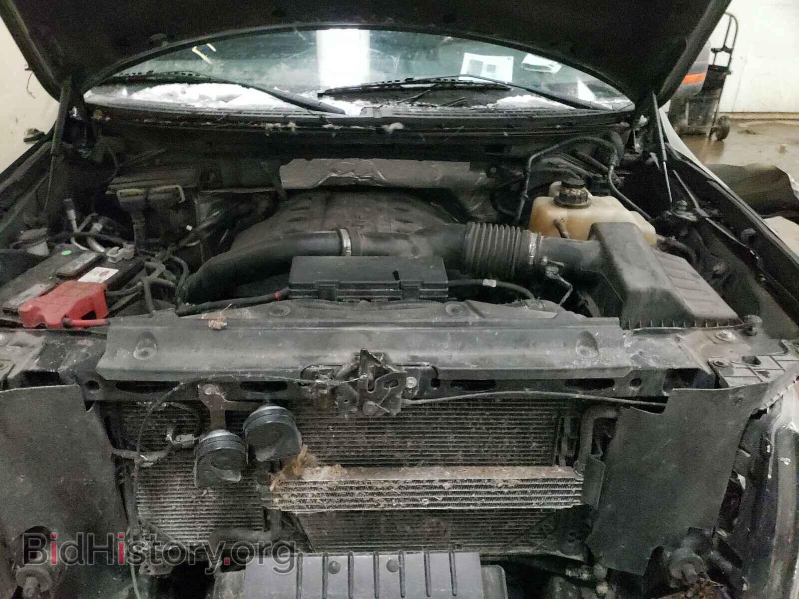 2011 FORD F150 - VIN: 1FTFX1ET0BFD26198 - Фото 7