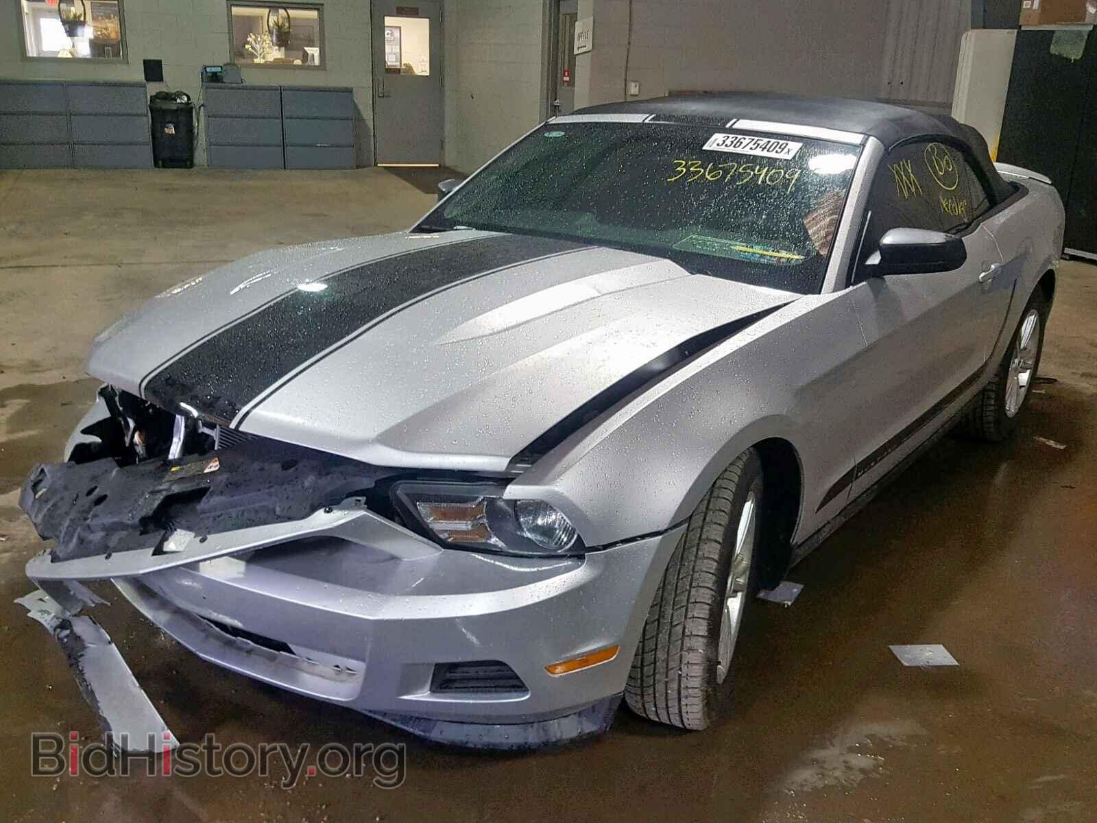 2012 FORD MUSTANG - VIN: 1ZVBP8EM8C5212583 - Фото 2