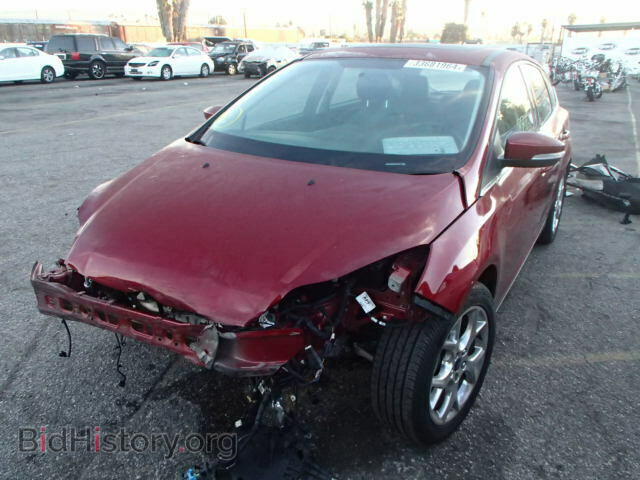 2013 FORD FOCUS - VIN: 1FADP3N24DL210782 - Фото 2
