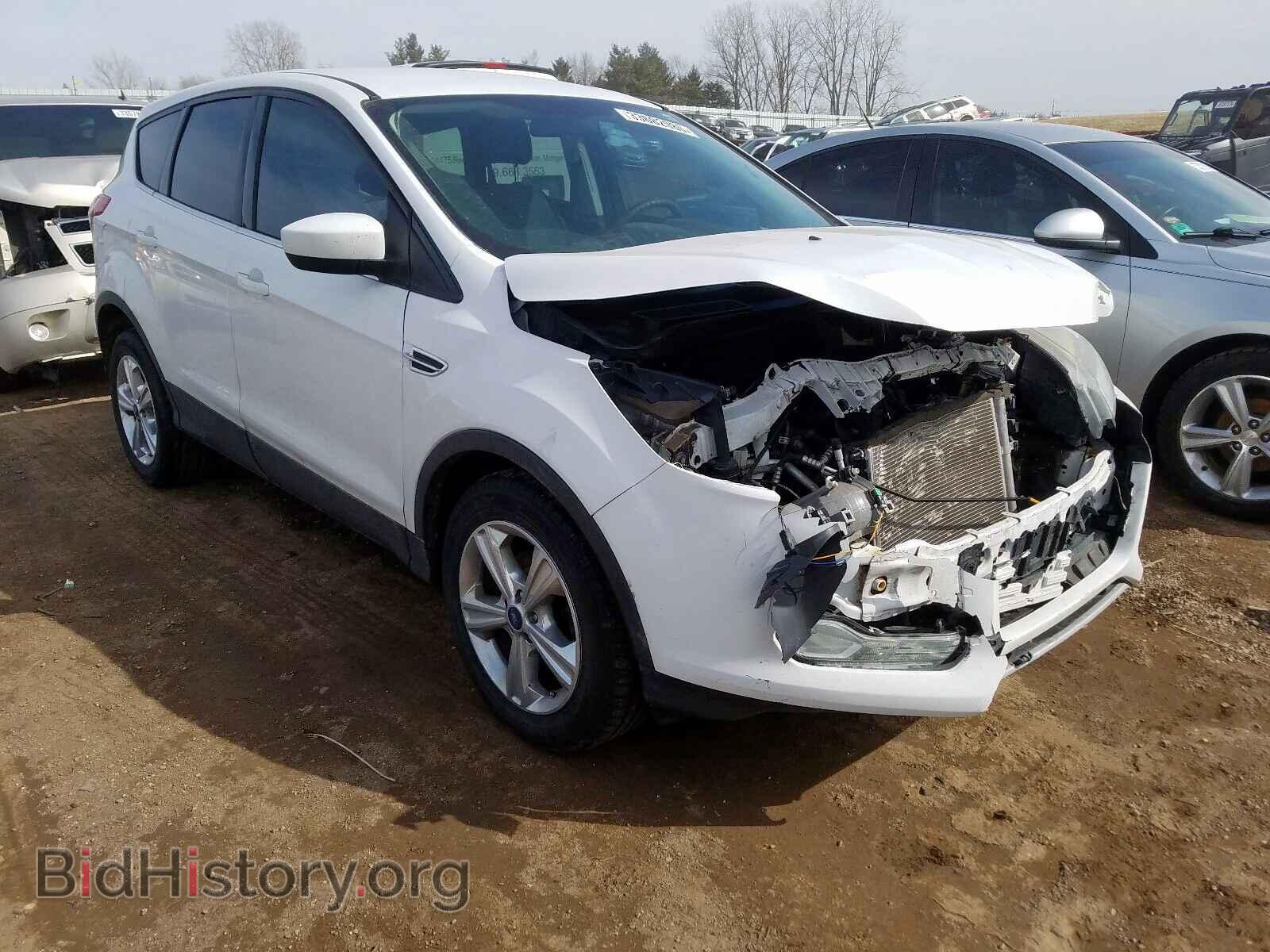 Фотография 1FMCU0GX2DUD89836 - FORD ESCAPE 2013