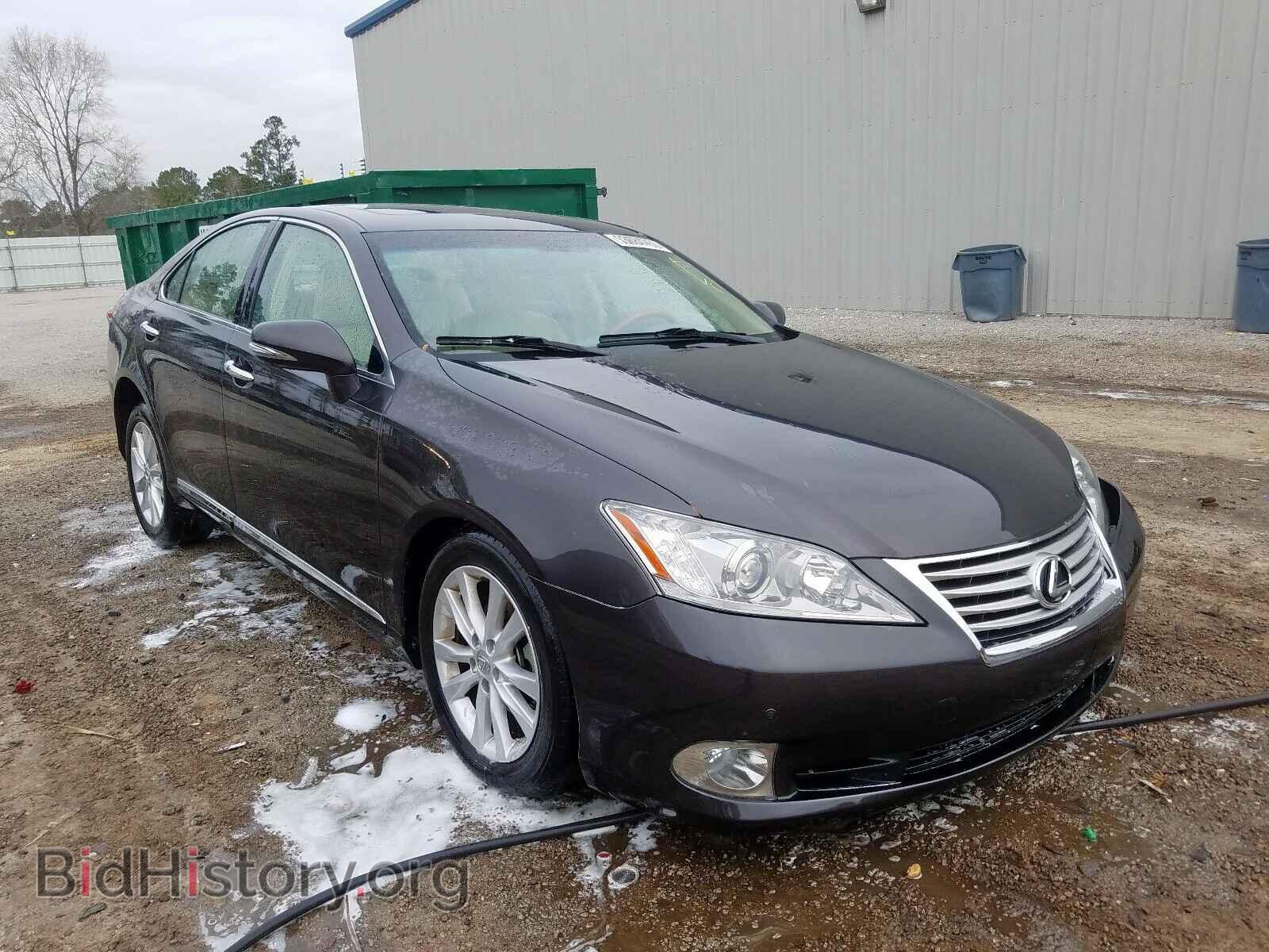 Фотография JTHBK1EG3A2391549 - LEXUS ES350 2010