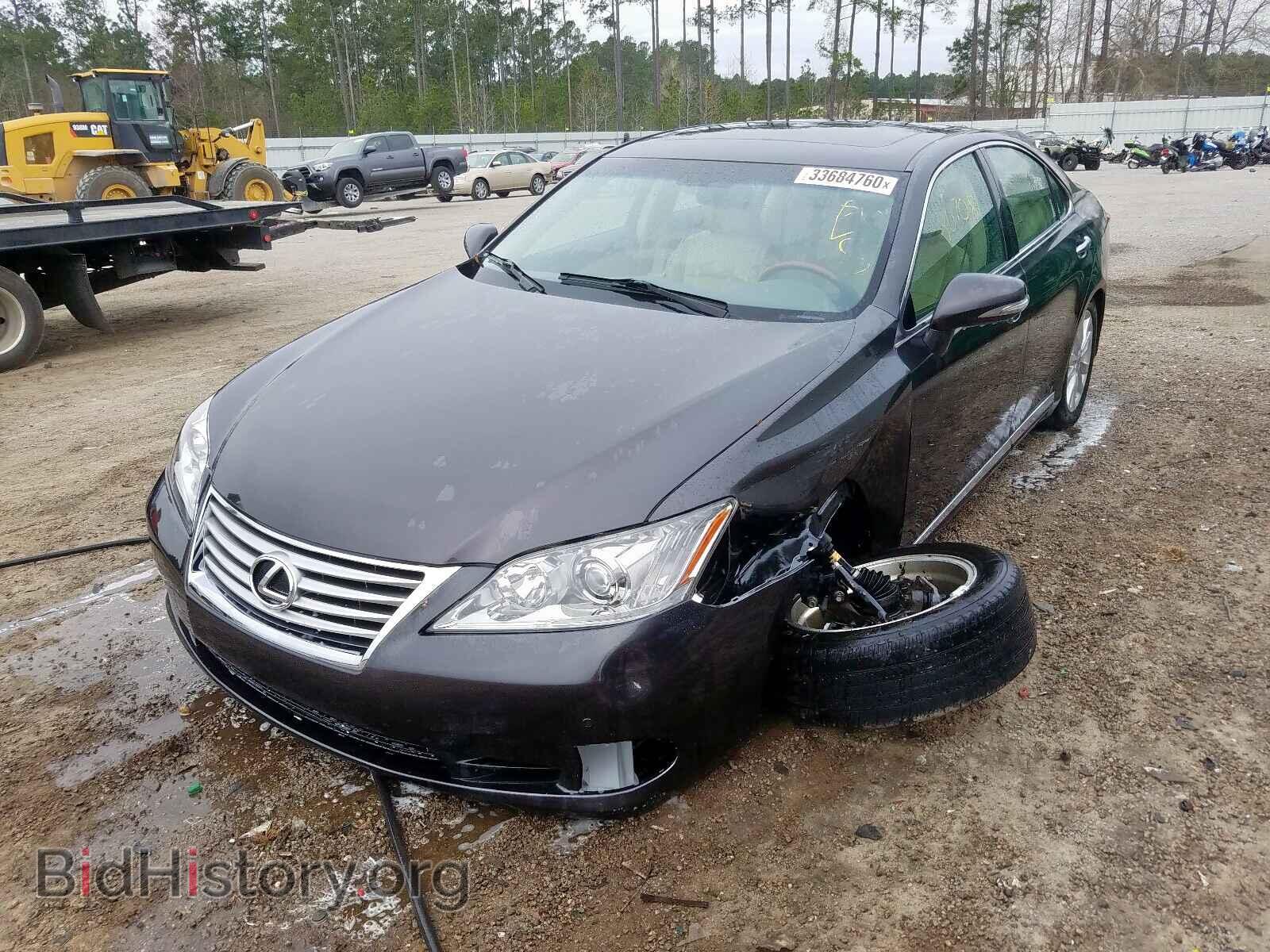 2010 LEXUS ES350 - VIN: JTHBK1EG3A2391549 - Фото 2