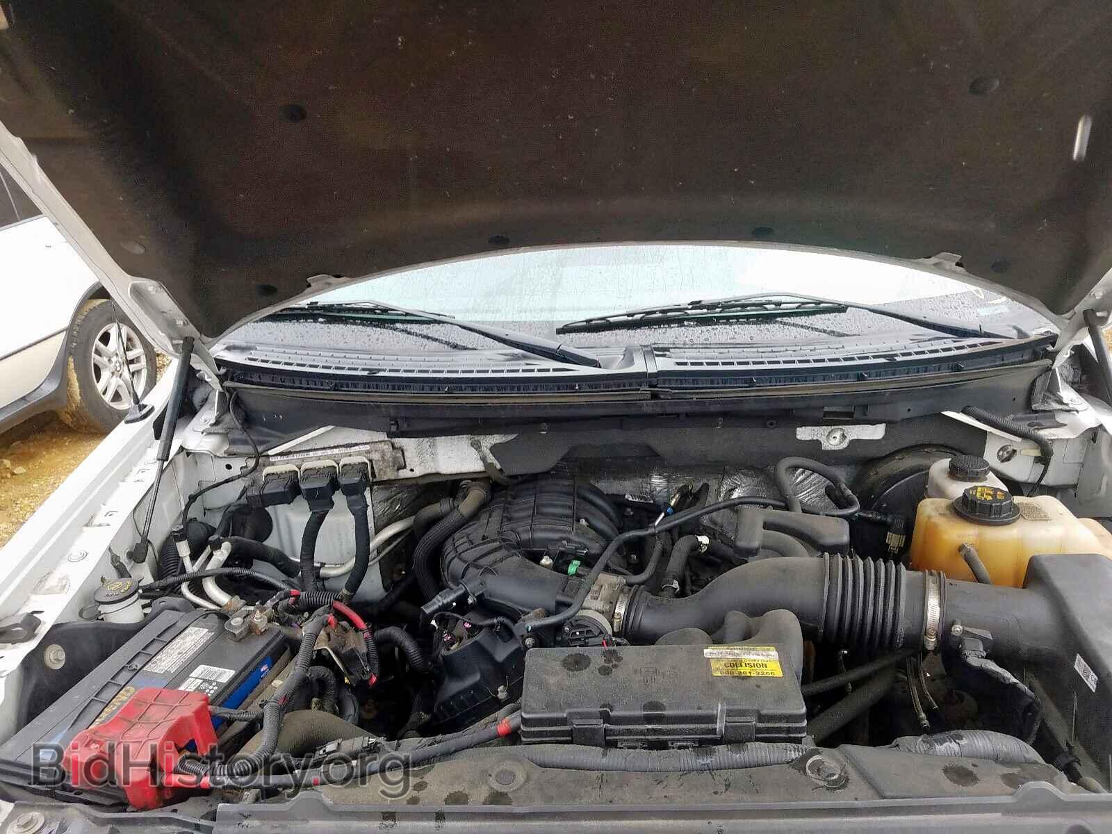 2013 FORD F150 - VIN: 1FTMF1CM8DKE14013 - Фото 7