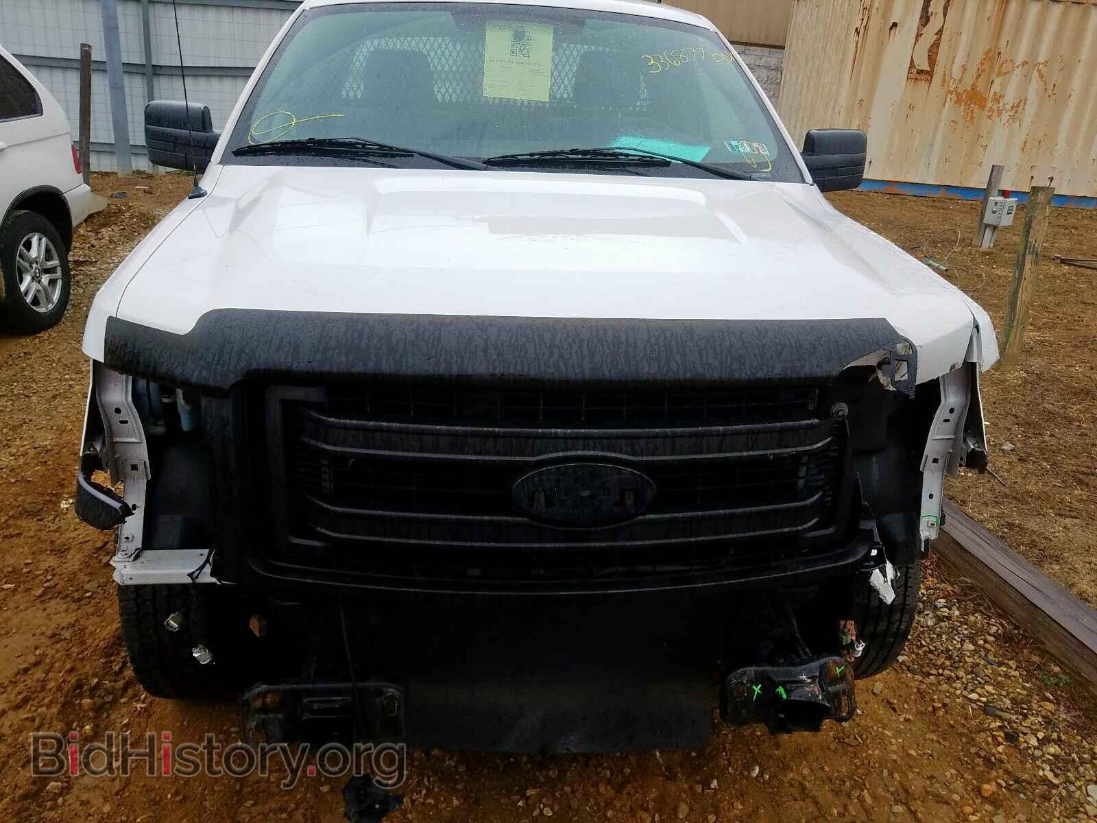 2013 FORD F150 - VIN: 1FTMF1CM8DKE14013 - Фото 9