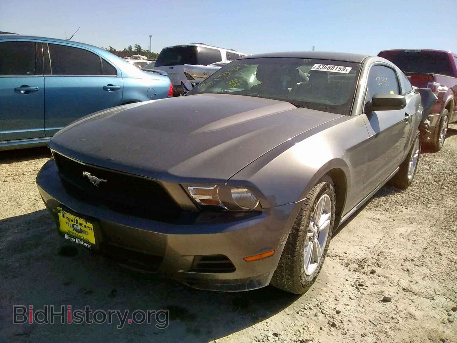 2012 FORD MUSTANG - VIN: 1ZVBP8AMXC5272399 - Фото 2