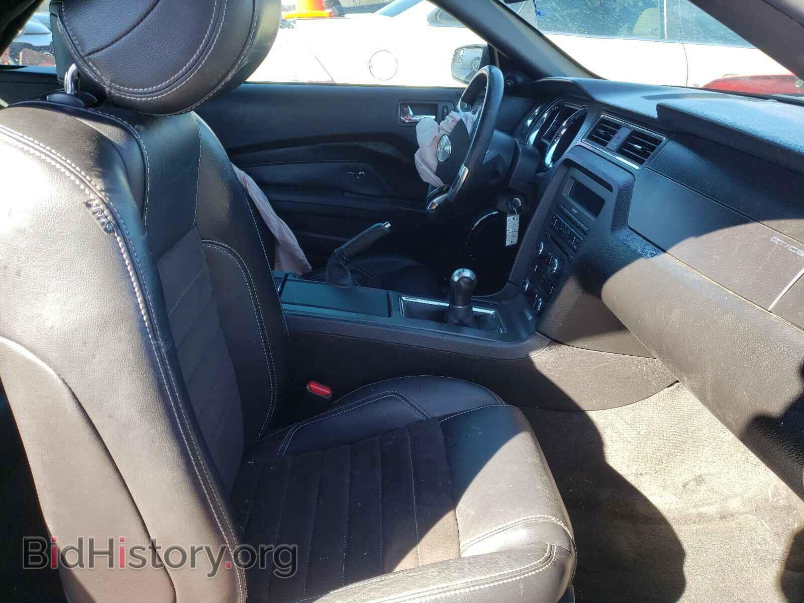 2013 FORD MUSTANG - VIN: 1ZVBP8FF6D5201423 - Фото 5