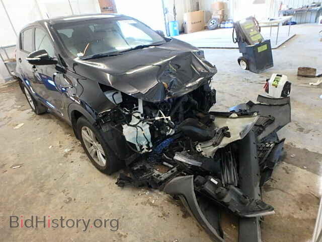 Фотография KNDPB3A29D7357068 - KIA SPORTAGE 2013